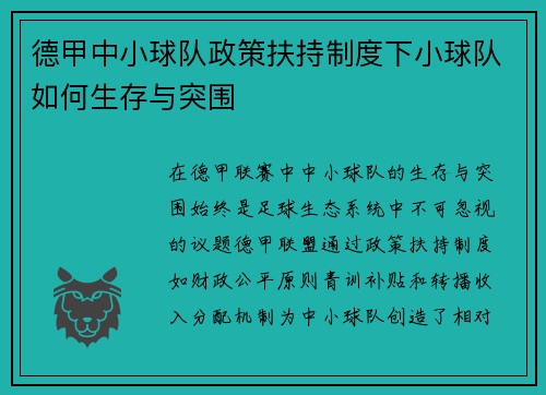 德甲中小球队政策扶持制度下小球队如何生存与突围